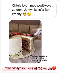 referenční obrázek č.1